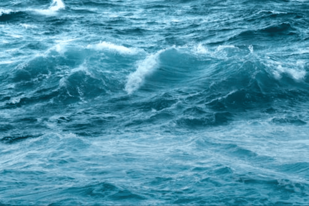 Internal Waves in the Ocean