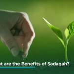 5 Powerful Hadith That Show the True Importance of Sadaqah